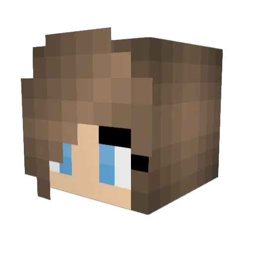 Shay_The_Fey Minecraft avatar head, 3D render