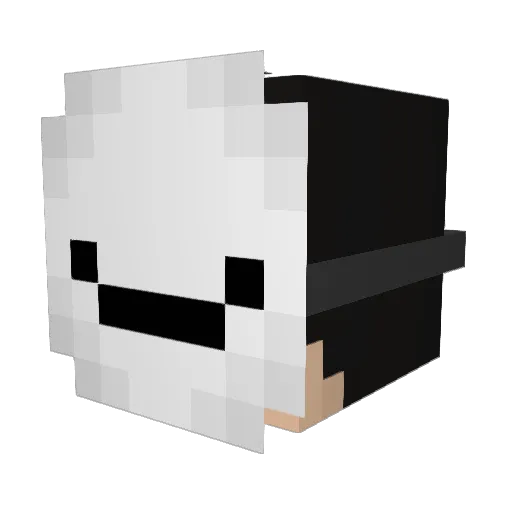 Shayan17 Minecraft avatar head, 3D render