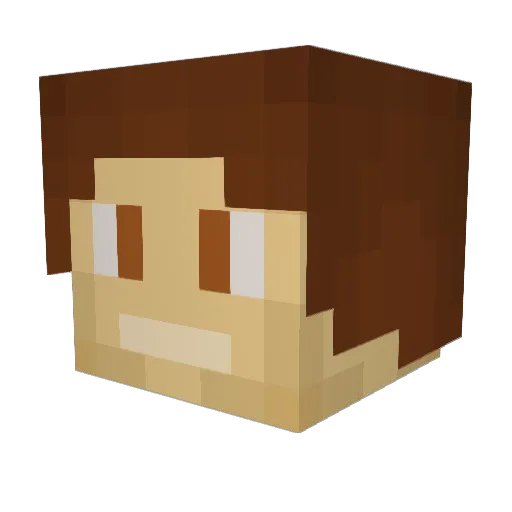 Shayan_was_taken Minecraft avatar head, 3D render