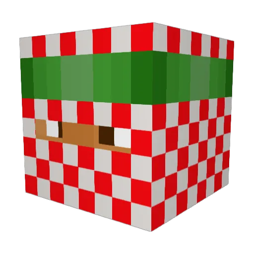 Shaybraa Minecraft avatar head, 3D render