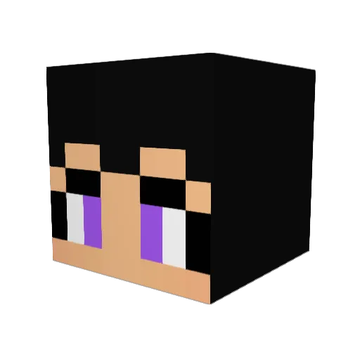 Shaychips Minecraft avatar head, 3D render
