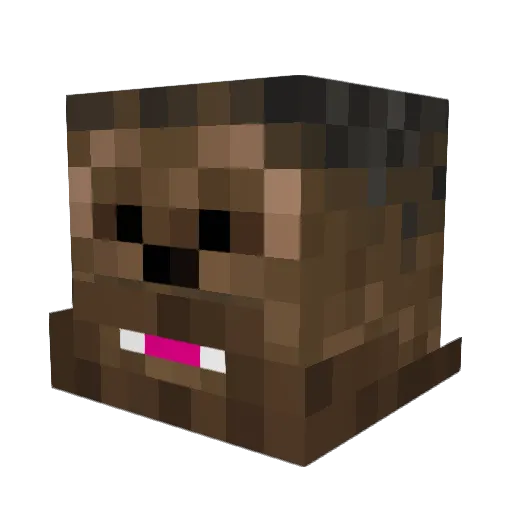 Shayeanator17 Minecraft avatar head, 3D render
