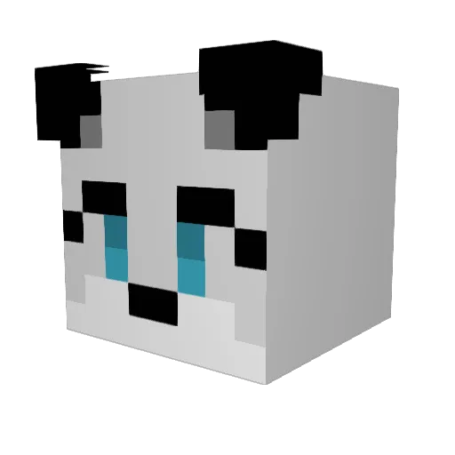 Shayenne09 Minecraft avatar head, 3D render