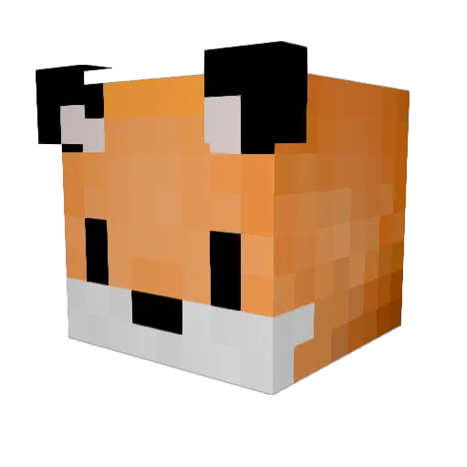 Shaylou Minecraft avatar head, 3D render