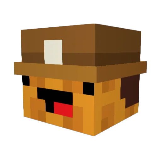 Shaym66 Minecraft avatar head, 3D render