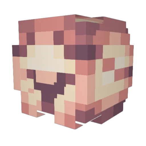 Shayman10 Minecraft avatar head, 3D render