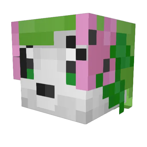 Shaymiestar Minecraft avatar head, 3D render