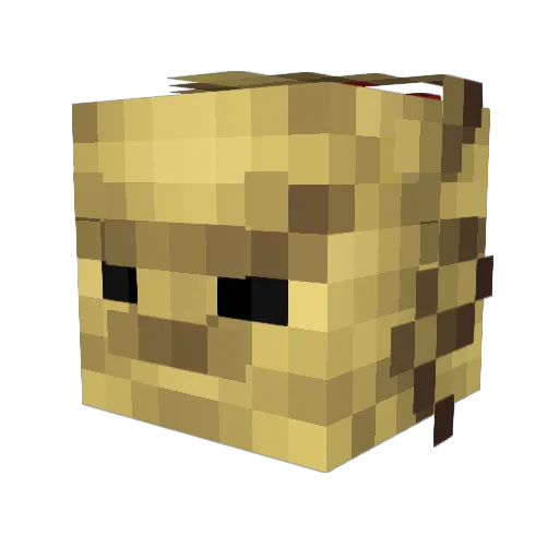 Shaymin128 Minecraft avatar head, 3D render