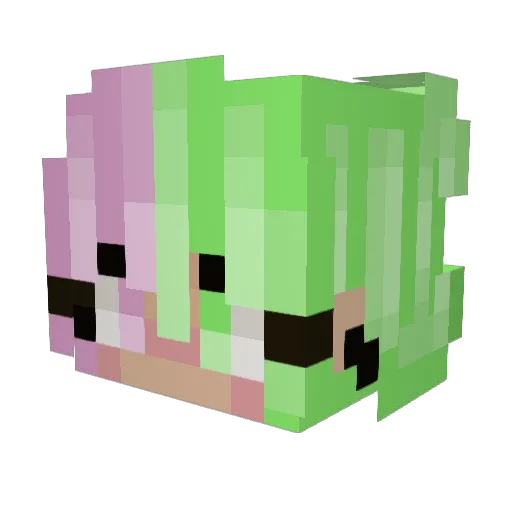 ShayminLover420 Minecraft avatar head, 3D render