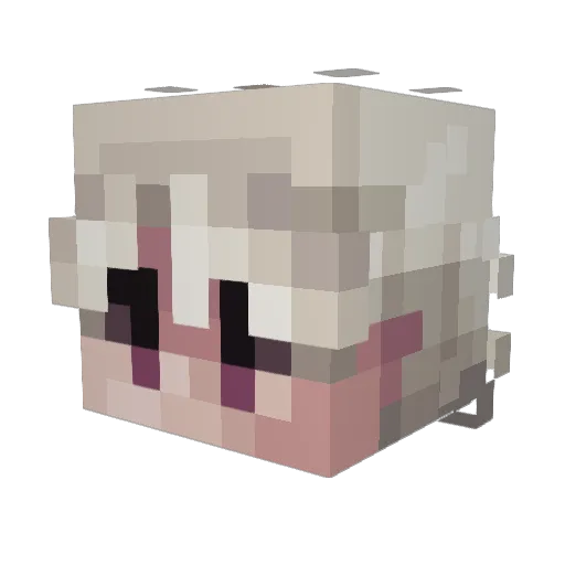 Shayreth Minecraft avatar head, 3D render