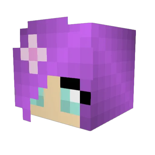 Shaz12 Minecraft avatar head, 3D render