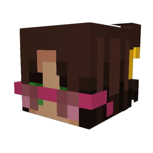 ShazMaTaz3000 Minecraft avatar head, 3D render