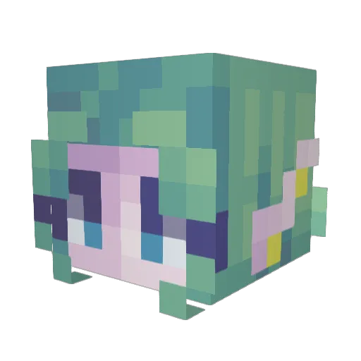 Shazmen Minecraft avatar head, 3D render