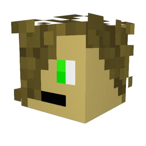 Shcraftee Minecraft avatar head, 3D render