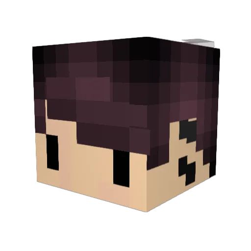 Shdxy Minecraft avatar head, 3D render