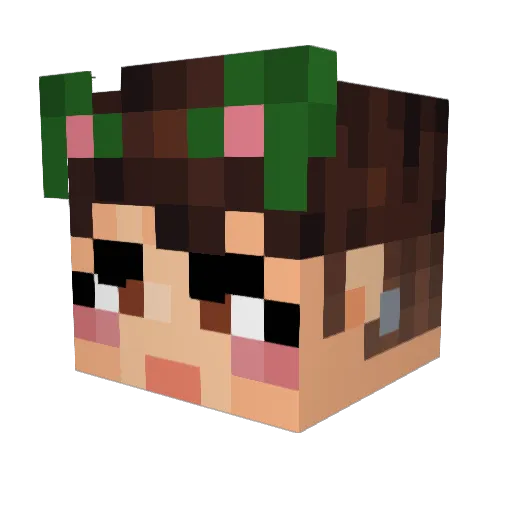 SheDoesntGoHere Minecraft avatar head, 3D render
