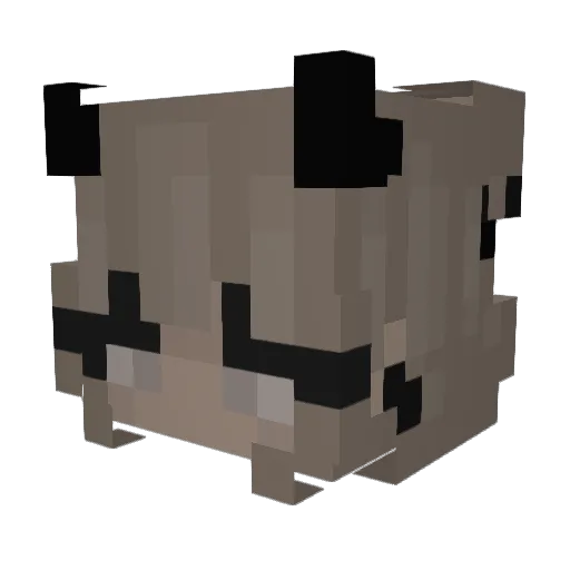 SheLovesRacing Minecraft avatar head, 3D render