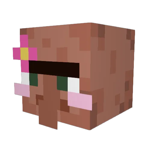 SheLovesTequila Minecraft avatar head, 3D render