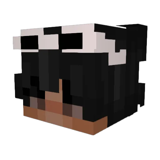 SheLuvsAuki Minecraft avatar head, 3D render