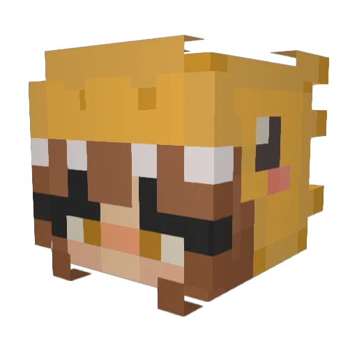 SheTheKewTPi06 Minecraft avatar head, 3D render