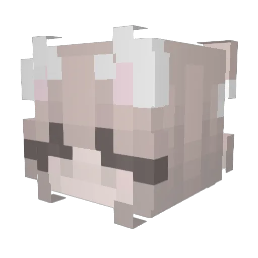 SheTray Minecraft avatar head, 3D render