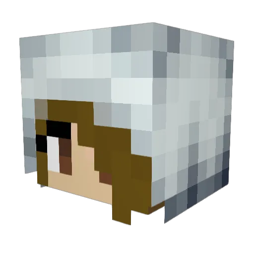 She_Bearr Minecraft avatar head, 3D render