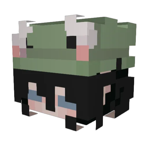 ShearMadnesss Minecraft avatar head, 3D render