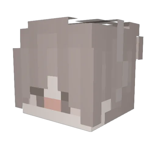 Shearenn Minecraft avatar head, 3D render
