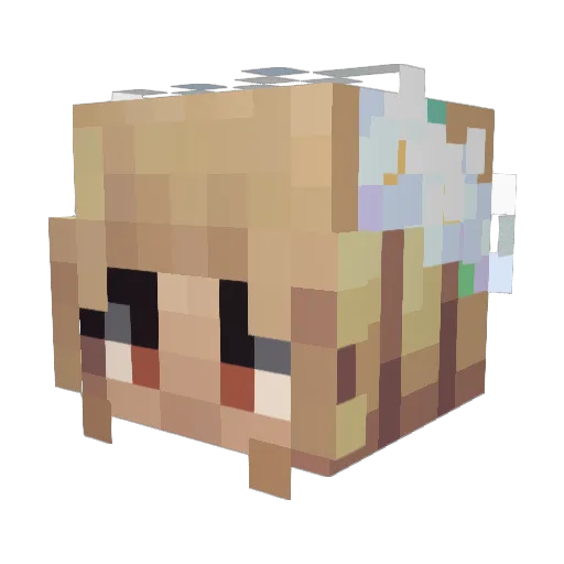 Sheariously Minecraft avatar head, 3D render