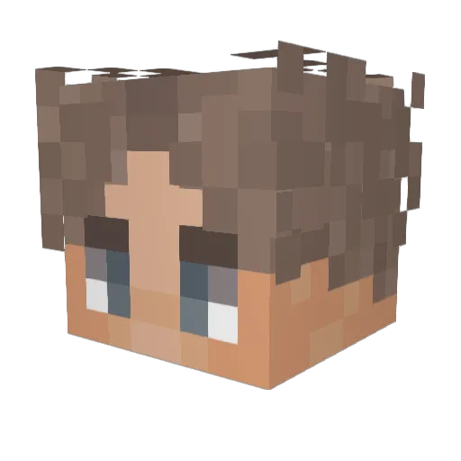Shebbarn Minecraft avatar head, 3D render