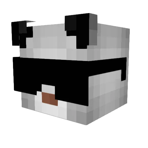 Sheblok_csmt Minecraft avatar head, 3D render