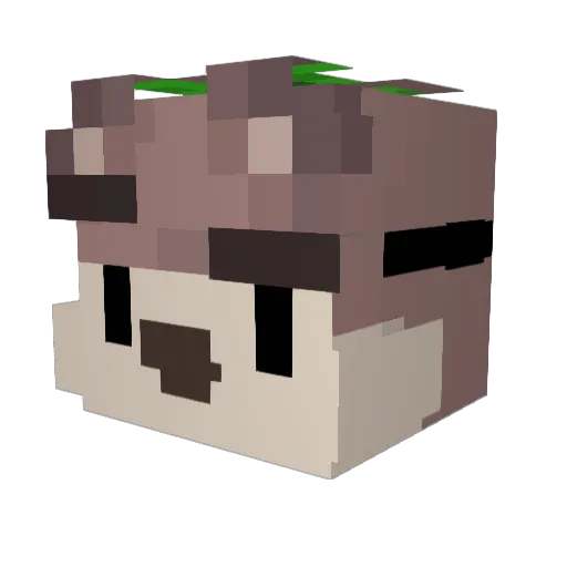 Shechooom Minecraft avatar head, 3D render