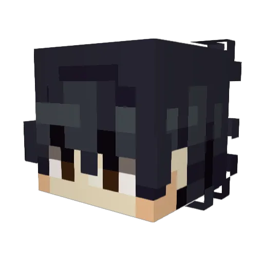 Shedinn Minecraft avatar head, 3D render