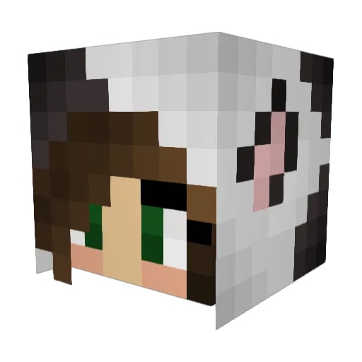 Shedreaming Minecraft avatar head, 3D render