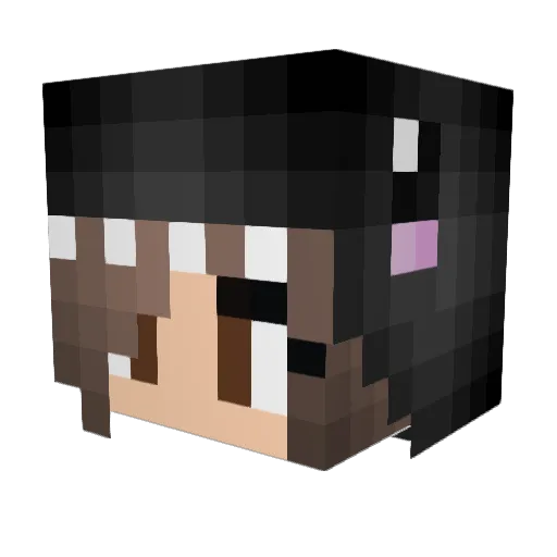 Sheeba913 Minecraft avatar head, 3D render