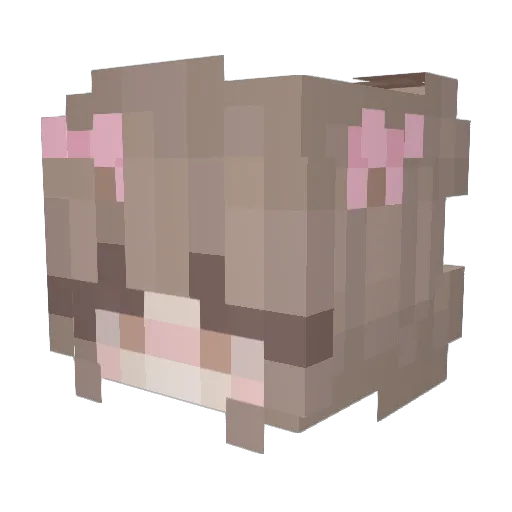 Sheelie Minecraft avatar head, 3D render