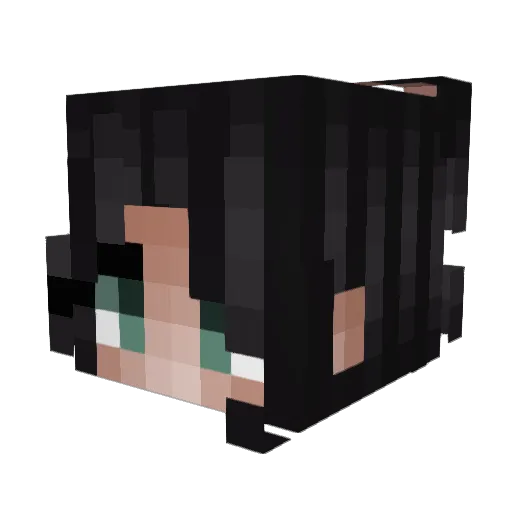 Sheenaxx Minecraft avatar head, 3D render