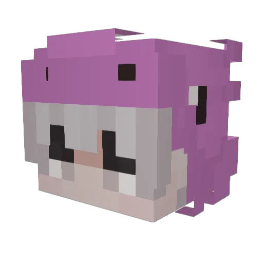 Sheeng Minecraft avatar head, 3D render