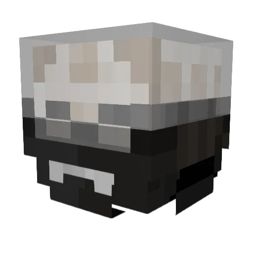 Sheentu Minecraft avatar head, 3D render