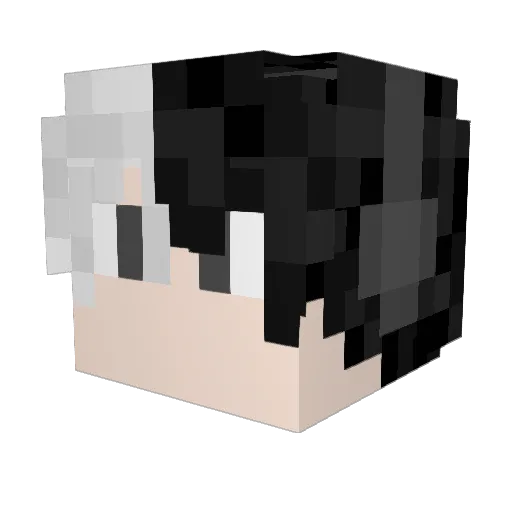 Sheep4696 Minecraft avatar head, 3D render