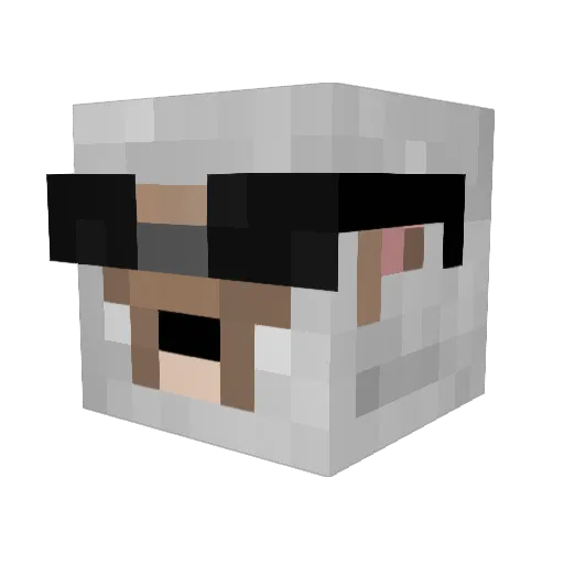 SheepCRAFT2004 Minecraft avatar head, 3D render