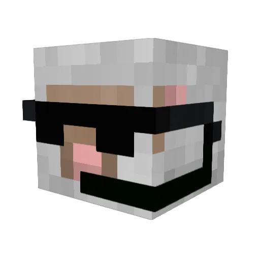 SheepMan484 Minecraft avatar head, 3D render