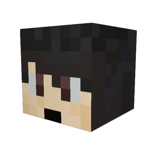Sheepa711 Minecraft avatar head, 3D render
