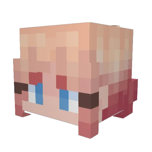 Sheepdaku Minecraft avatar head, 3D render