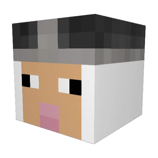 Sheepe123 Minecraft avatar head, 3D render