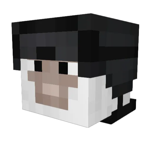 Sheeperz_ Minecraft avatar head, 3D render