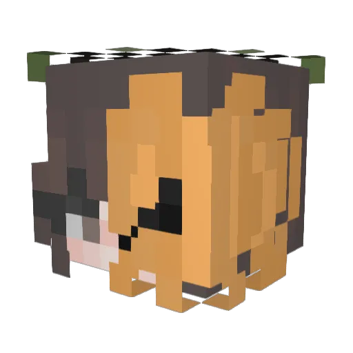 Sheephuntress Minecraft avatar head, 3D render