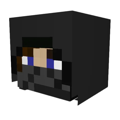 Sheepie17 Minecraft avatar head, 3D render