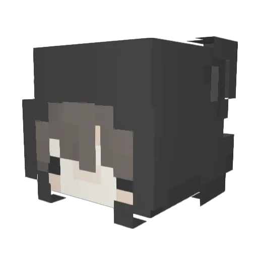 Sheepkawaii Minecraft avatar head, 3D render