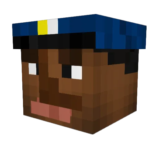 Sheepmaster0906 Minecraft avatar head, 3D render